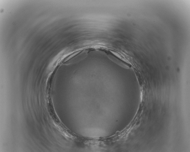 X0000066510339200603241312