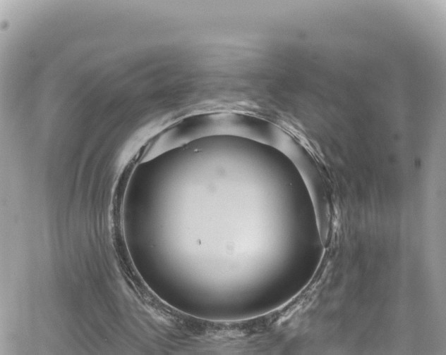 X0000066510340200603241312