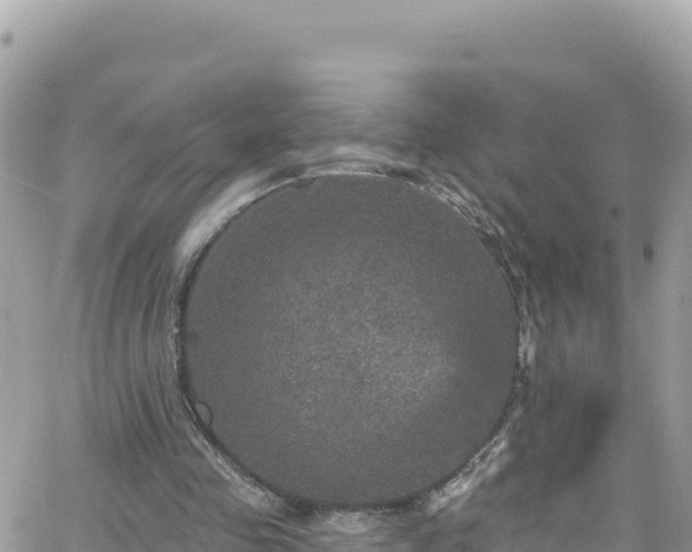 X0000066510341200603241312