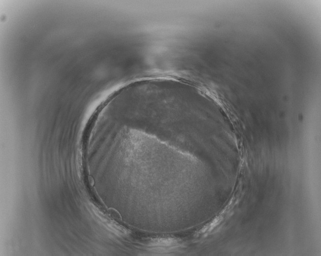 X0000066510342200603241312