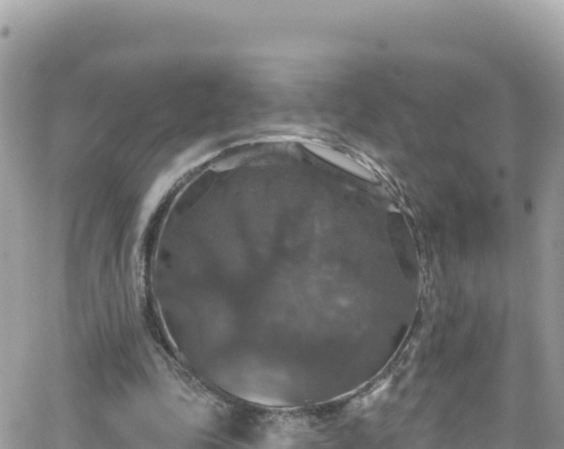 X0000066510343200603241312