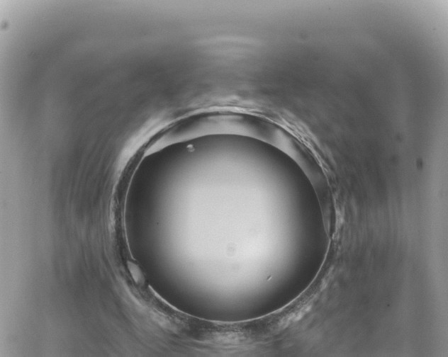 X0000066510344200603241312