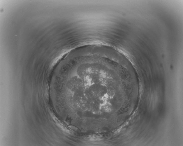 X0000066510345200603241312