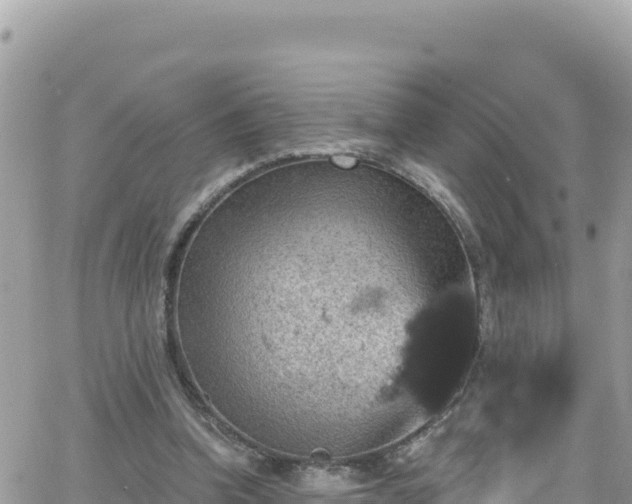 X0000066510346200603241312