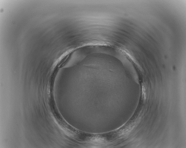 X0000066510348200603241312