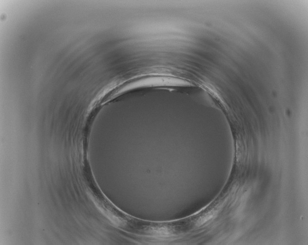 X0000066510349200603241312