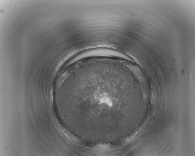 X0000066510350200603241312