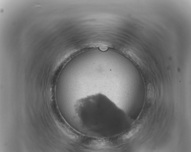 X0000066510351200603241312