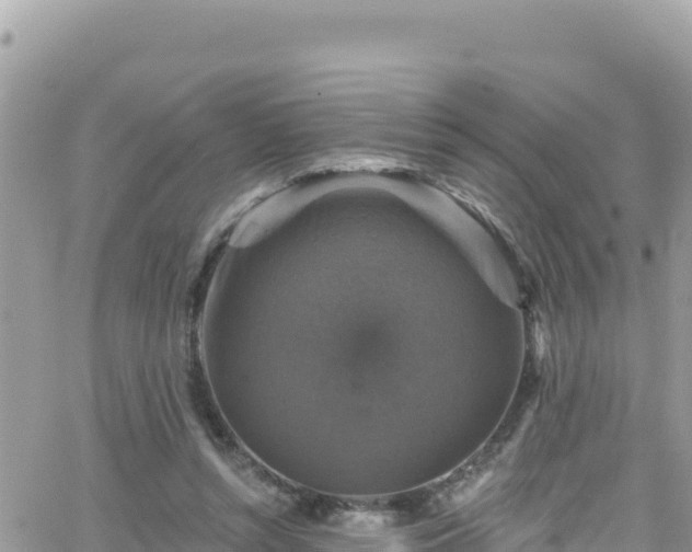 X0000066510352200603241312