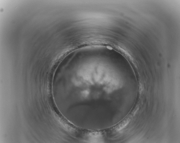 X0000066510353200603241312