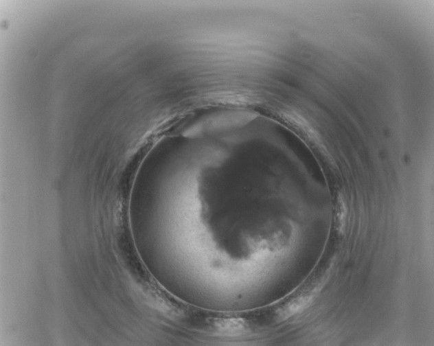 X0000066510355200603241312