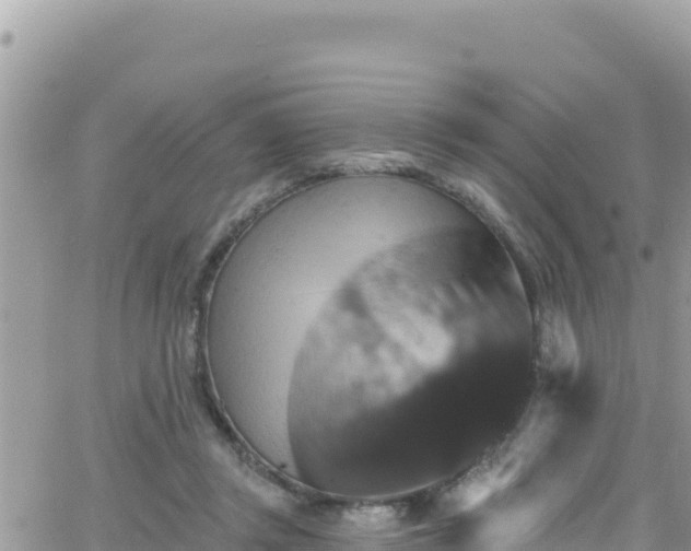 X0000066510357200603241312