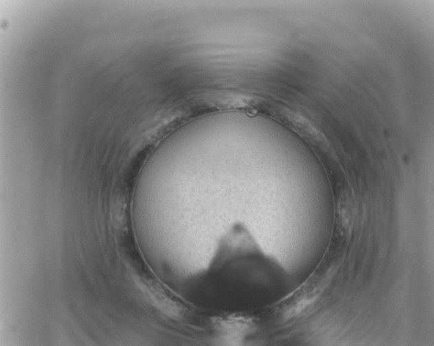 X0000066510359200603241312