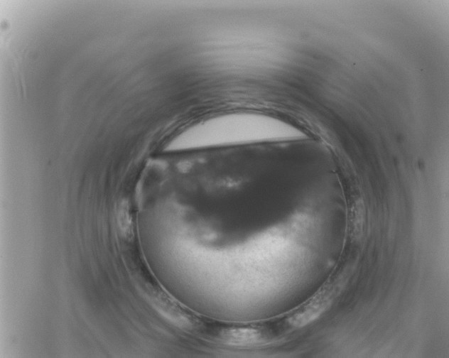 X0000066510361200603241312