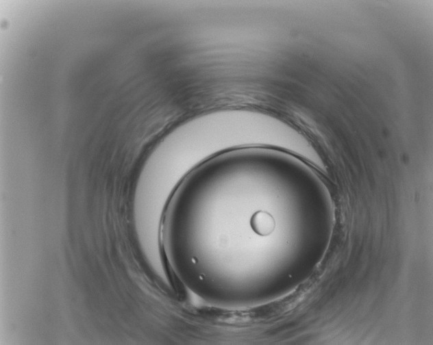 X0000066510362200603241312