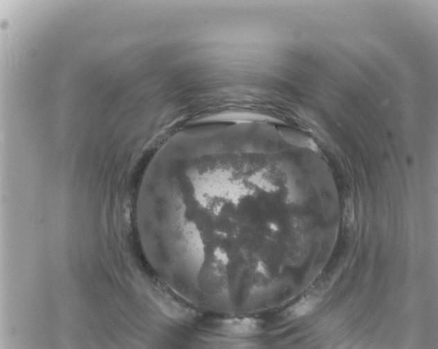 X0000066510363200603241312