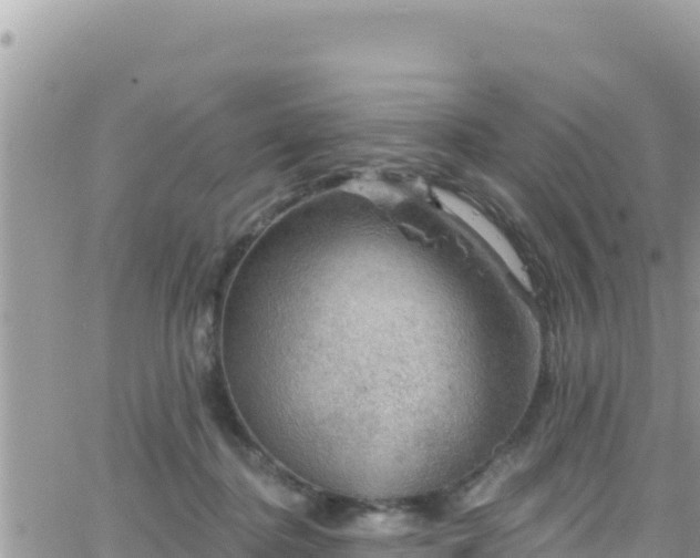 X0000066510364200603241312