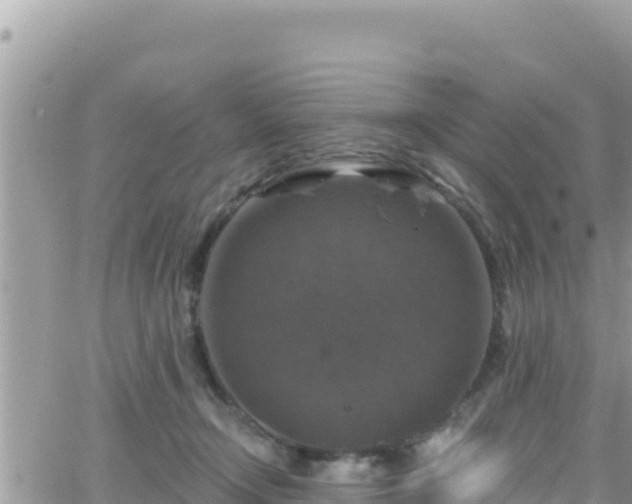 X0000066510366200603241312