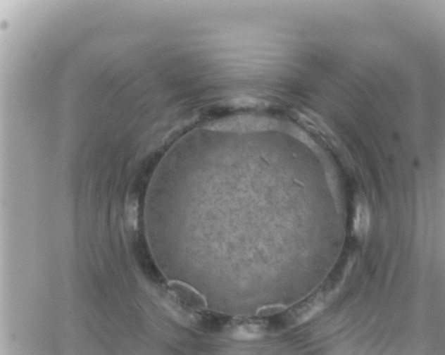 X0000066510368200603241312