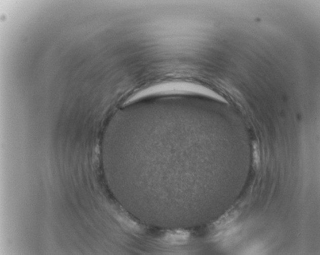 X0000066510369200603241312