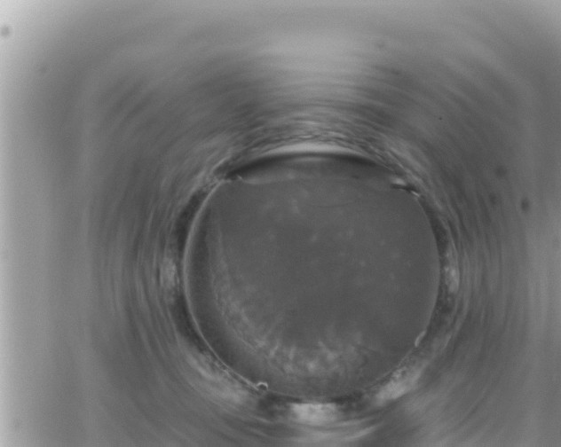 X0000066510371200603241312