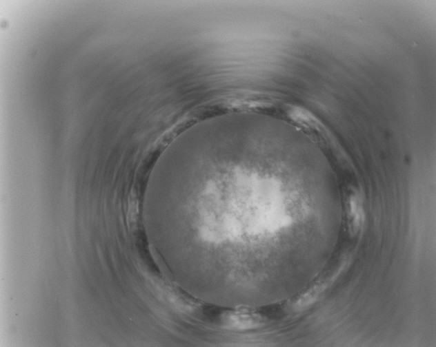 X0000066510372200603241312