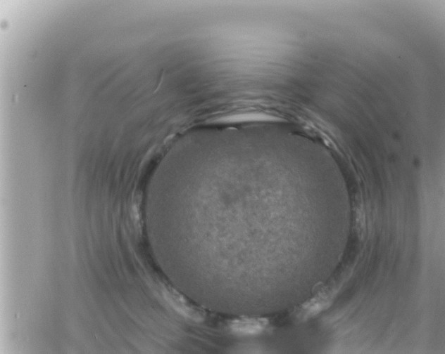 X0000066510373200603241312