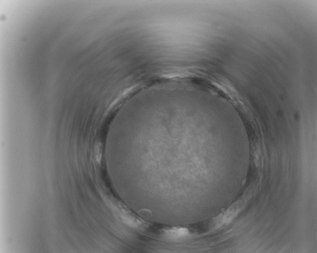 X0000066510374200603241312