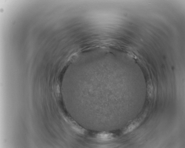 X0000066510375200603241313