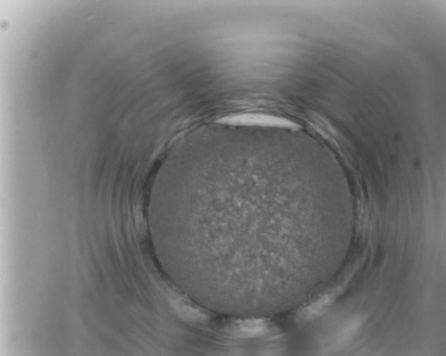 X0000066510377200603241313