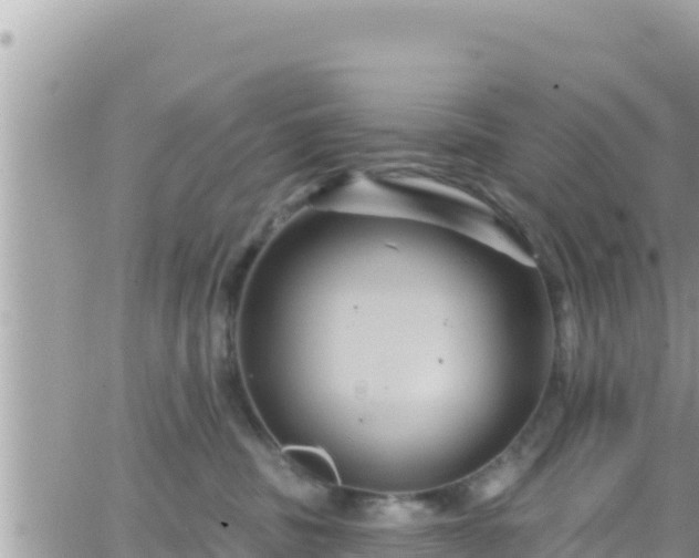 X0000066510379200603241313