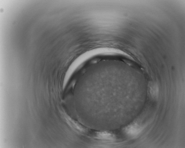 X0000066510380200603241313