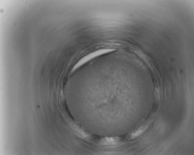 X0000066510381200603241313