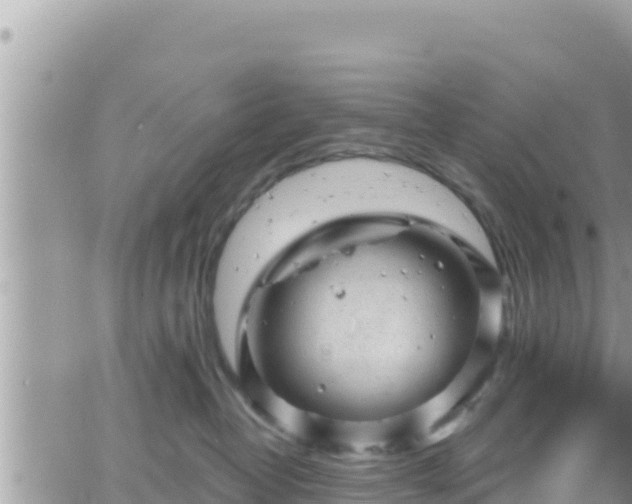 X0000066510382200603241313