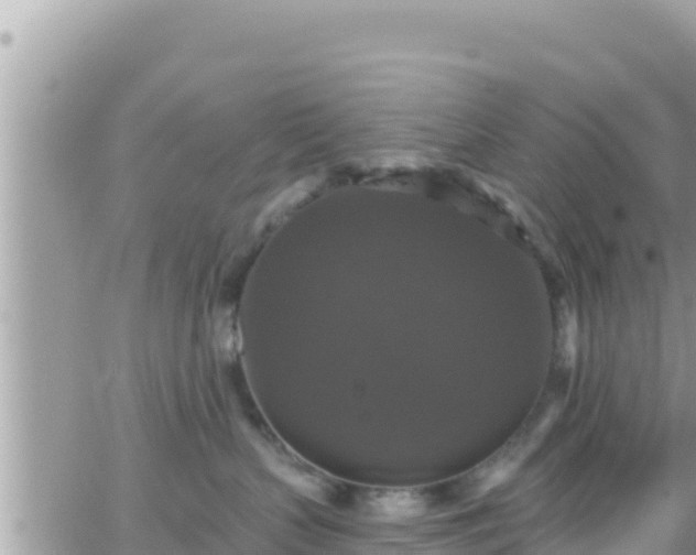 X0000066510383200603241313