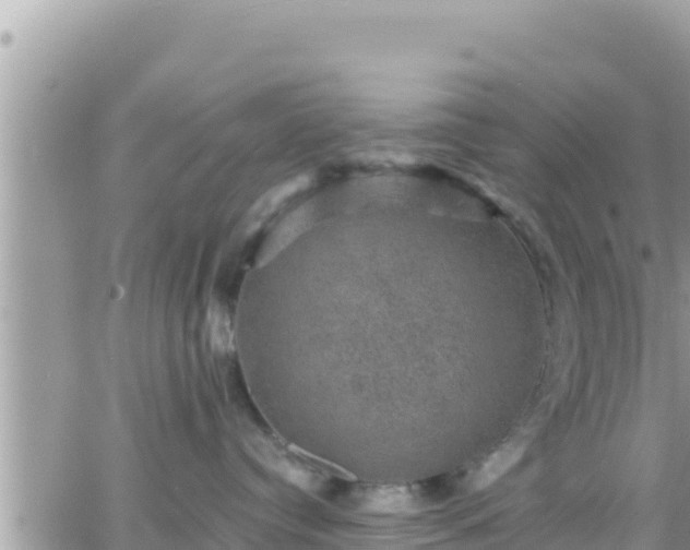 X0000066510384200603241313