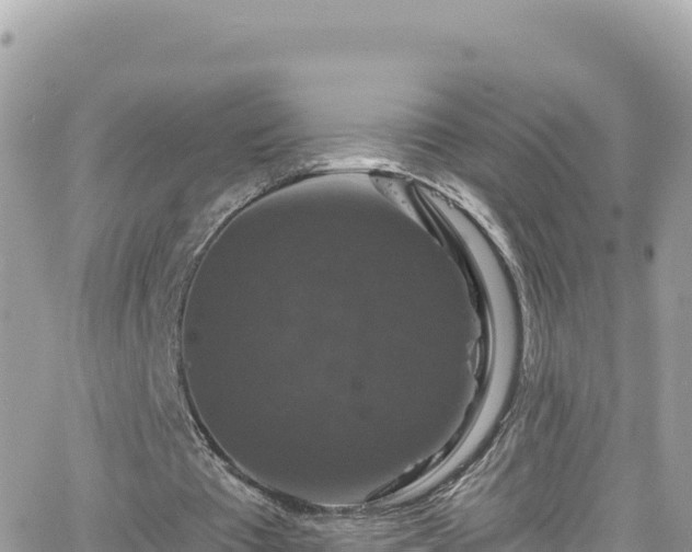 X0000066510385200603241312