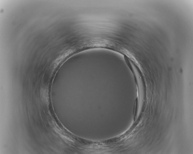 X0000066510386200603241312