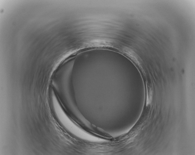 X0000066510387200603241312