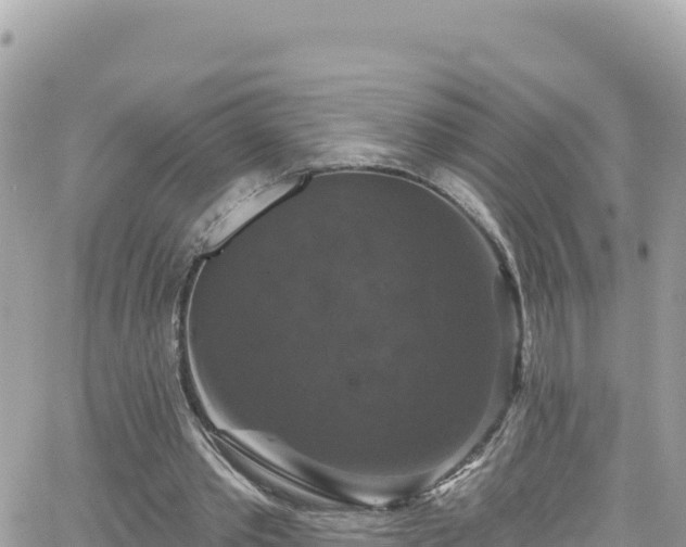 X0000066510389200603241312