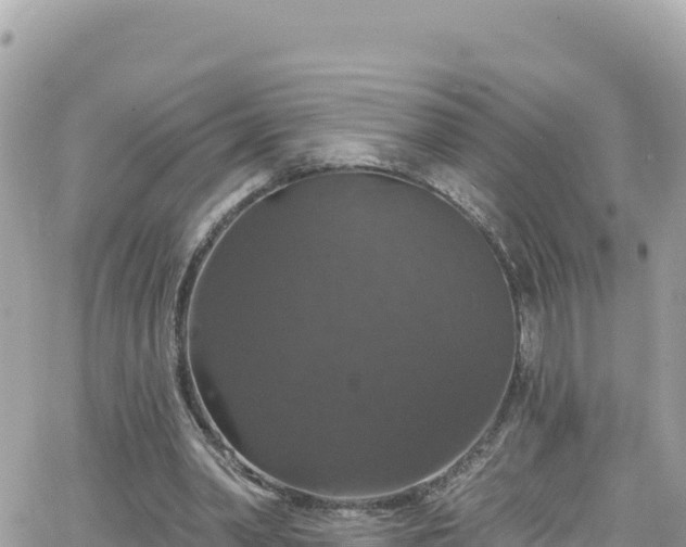 X0000066510390200603241312