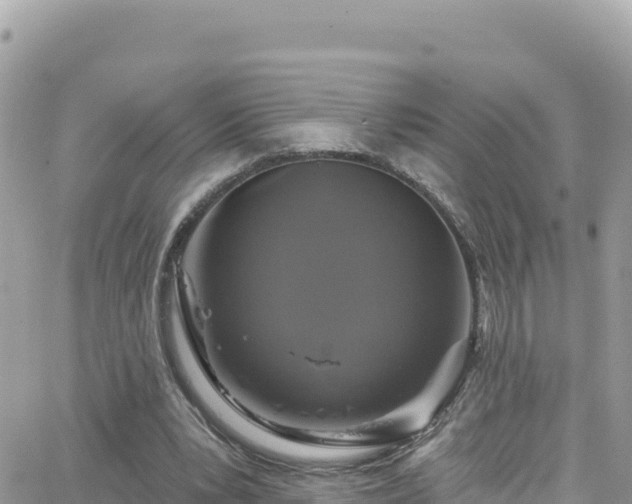 X0000066510391200603241312