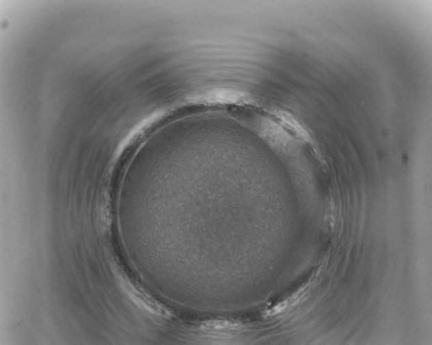 X0000066510392200603241312