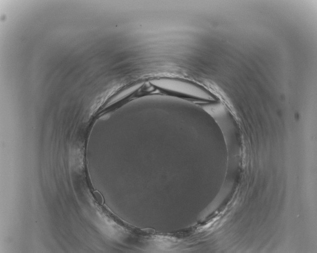 X0000066510393200603241312