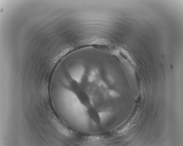 X0000066510394200603241312