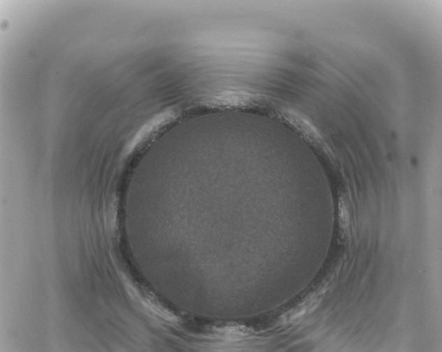 X0000066510396200603241312