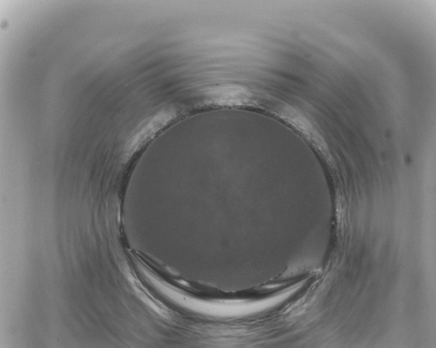 X0000066510397200603241312