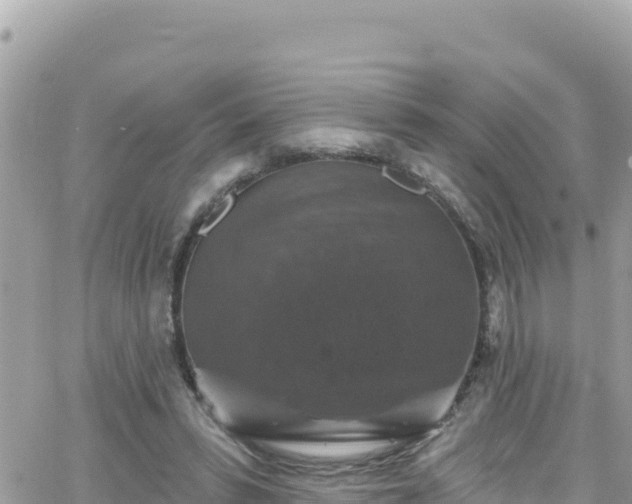 X0000066510399200603241312