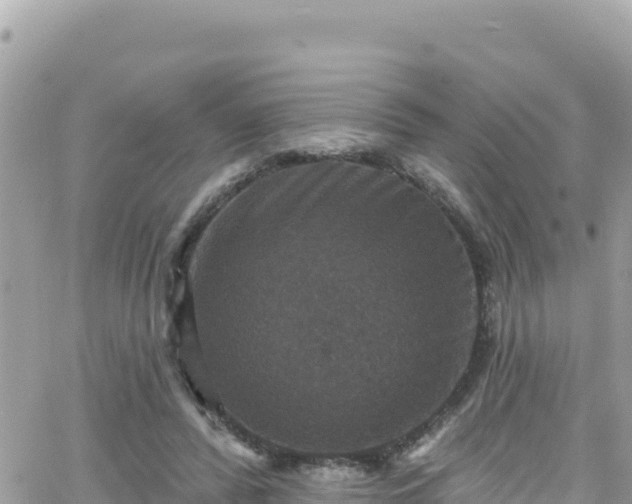 X0000066510400200603241312