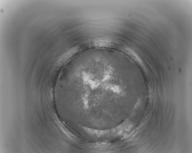 X0000066510401200603241312